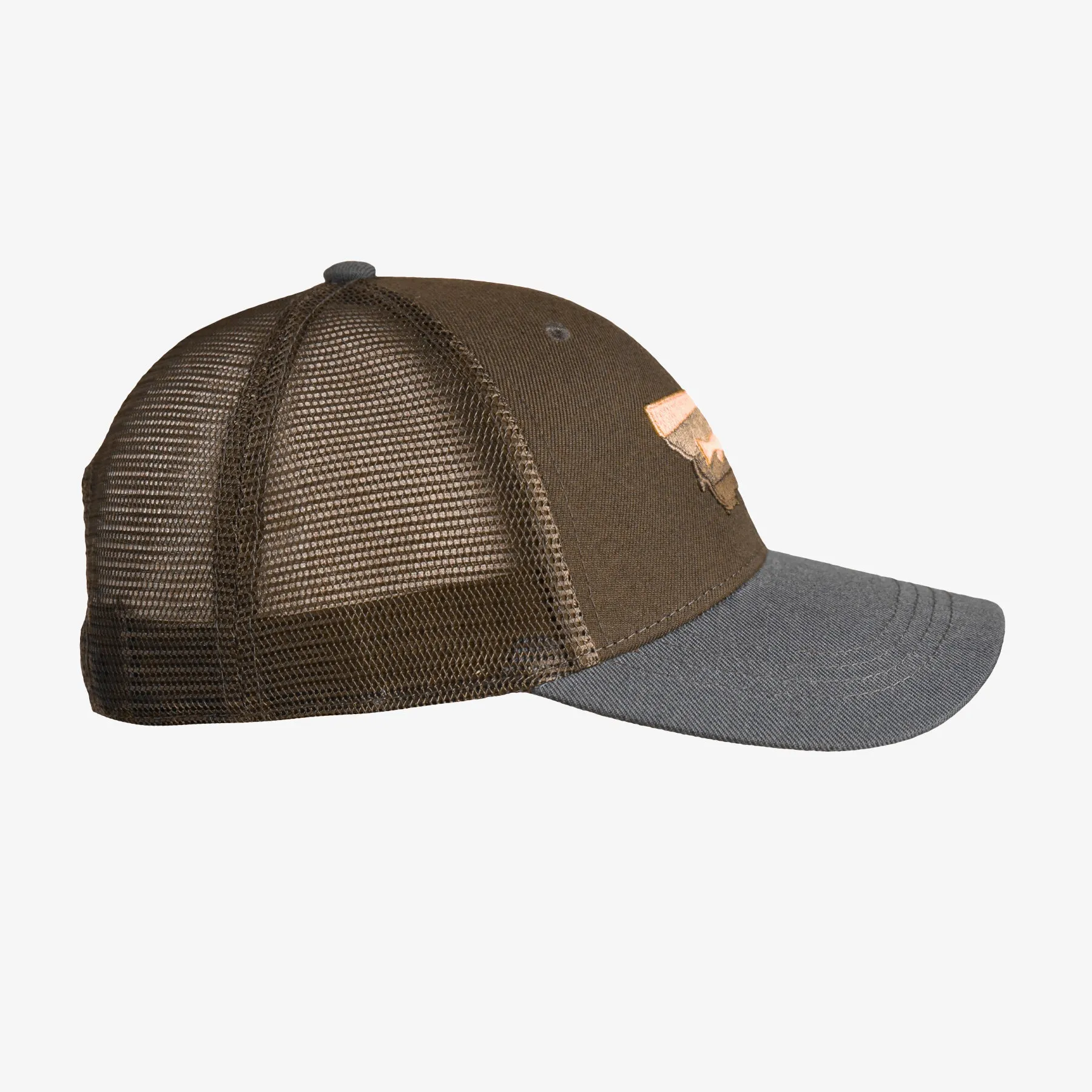 Low Pro Montana Horizons Fish Snapback Hat