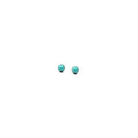 The Tiny Turquoise Studs